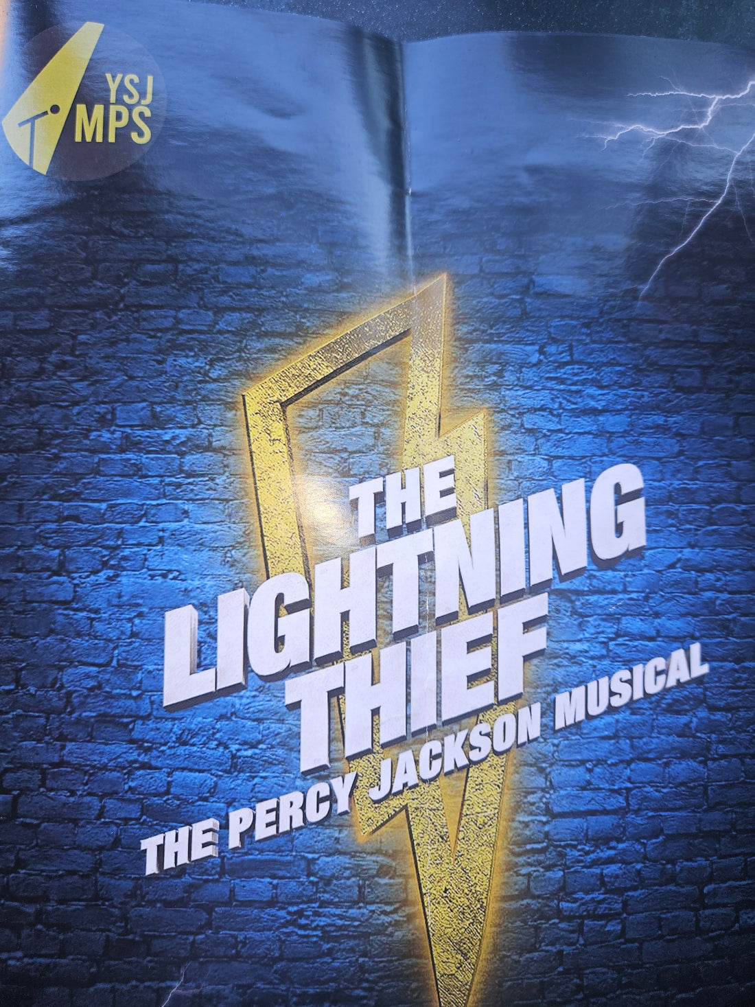 the lightning thief programme 